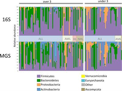 Antibiotic and antifungal use in pediatric leukemia and lymphoma patients are associated with increasing opportunistic pathogens and decreasing bacteria responsible for activities that enhance colonic defense